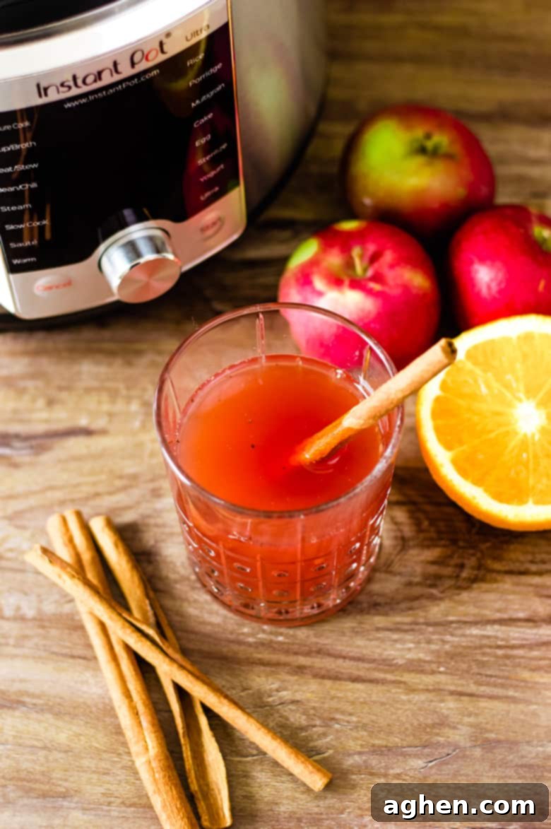 overhead view of apple cider in glass with cinnamon sticks