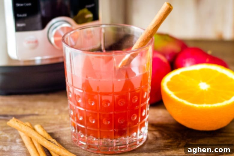 apple cider in glass with cinnamon stick