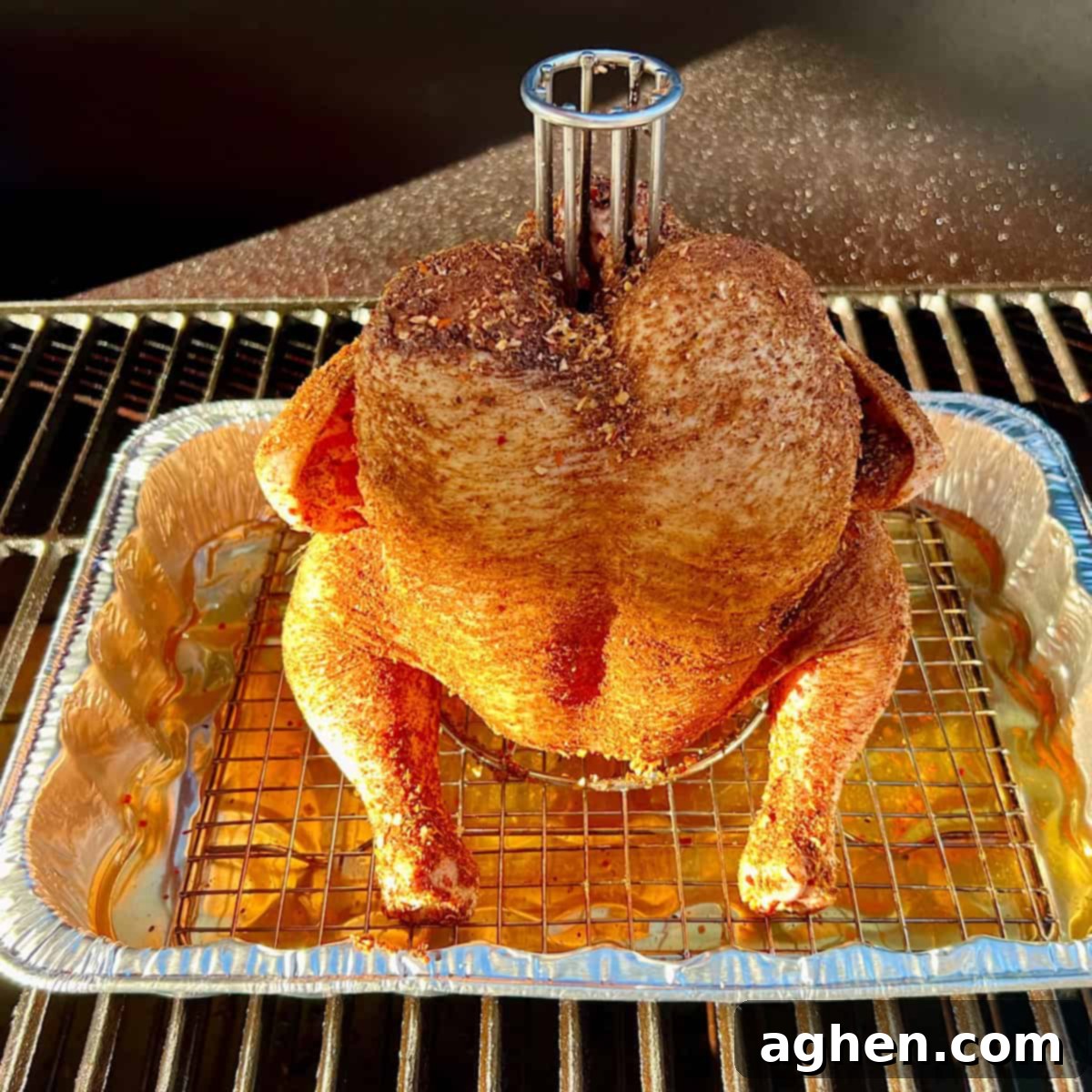 Smoked Standing Chicken No Beer 6 seasoned raw chicken on chicken roaster stand placed on grill grate of offset smoker