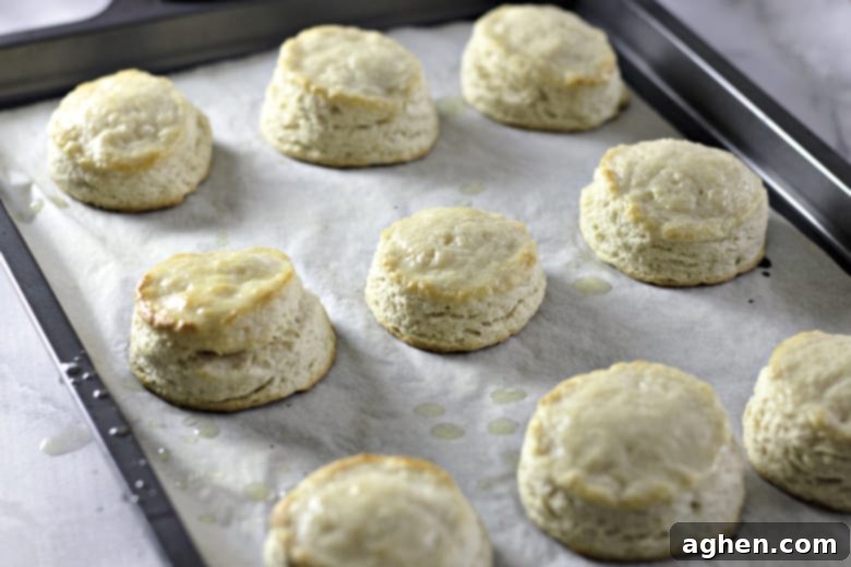 Freshly cut buttermilk biscuits arranged on a baking sheet, ready to be placed into the oven to bake.