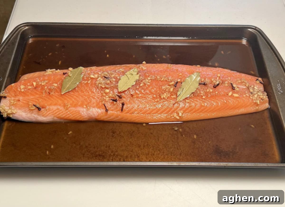 Crafting Perfect Smoked Salmon with Your Offset Smoker 6 Salmon in a tray after brining, ready for the next step