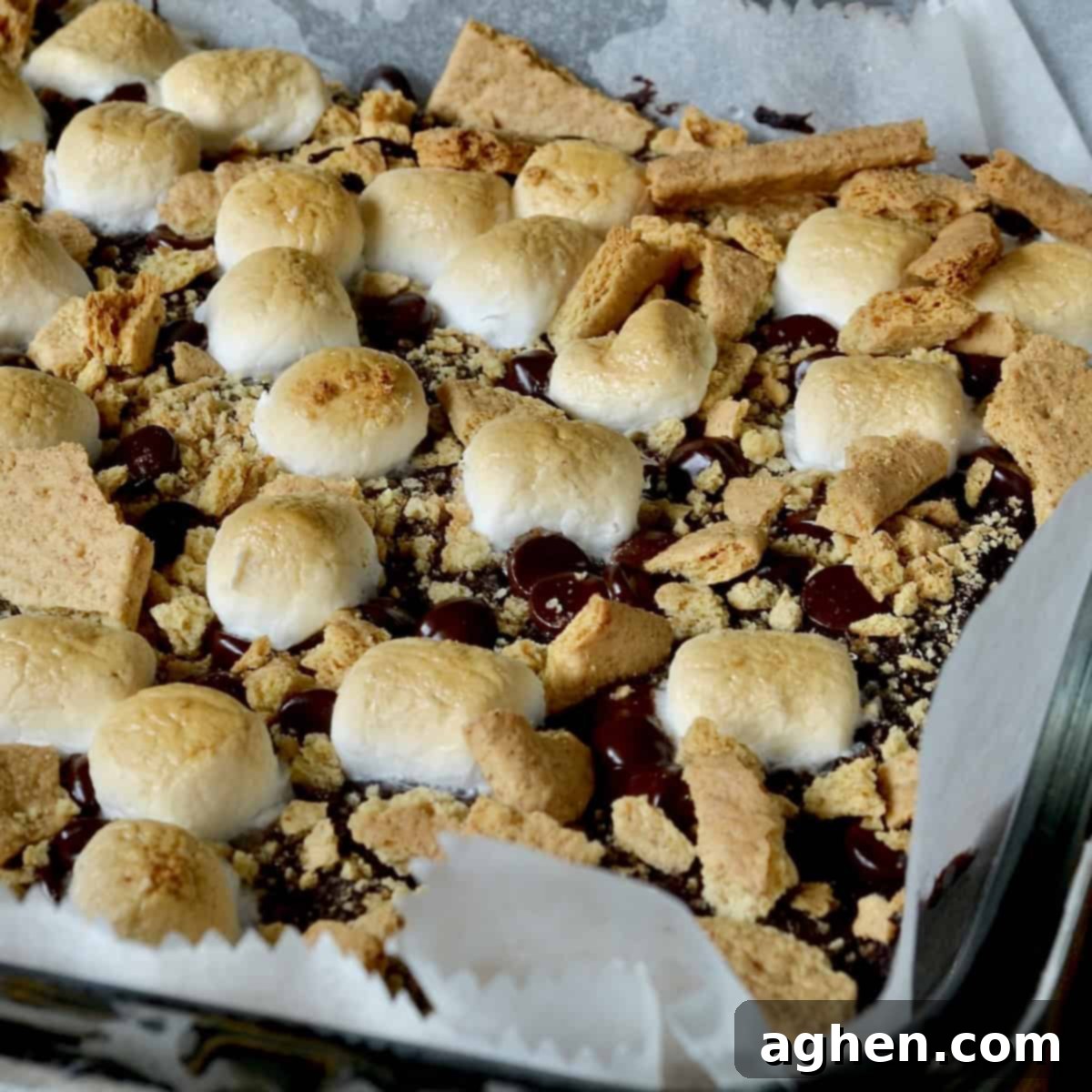 Close-up of perfectly baked s'mores brownies with golden, toasted marshmallows