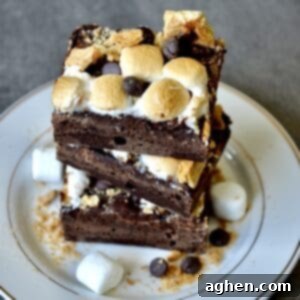 Close up of s'mores brownies, showing melted chocolate and golden marshmallows