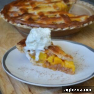 Slice of peach pie with lattice topping