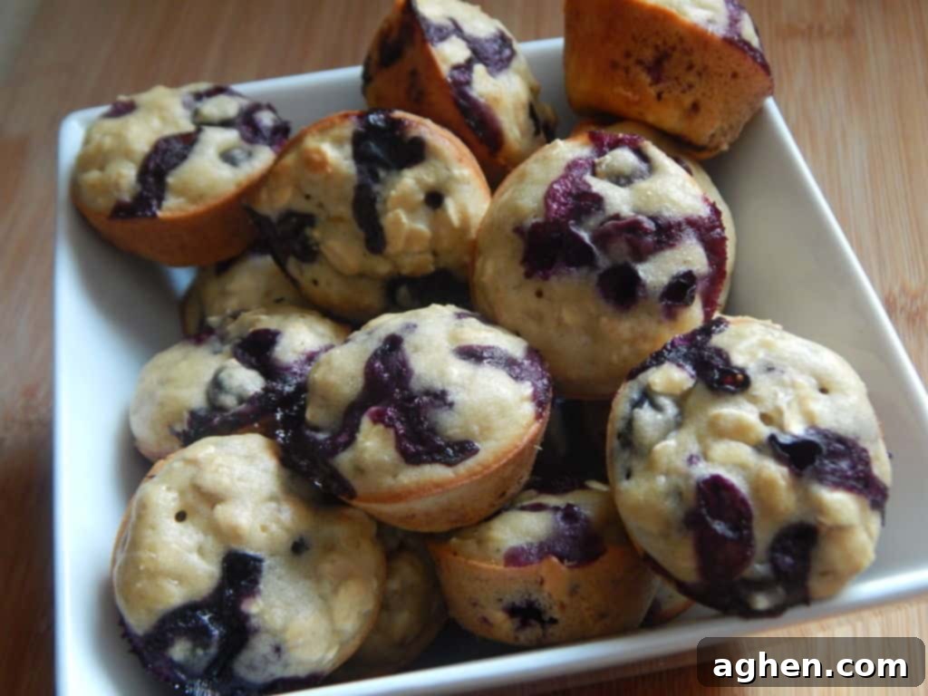 Wholesome Blueberry Oat Mini Muffins 2 A beautiful spread of freshly baked mini blueberry oatmeal muffins, ready to be enjoyed.