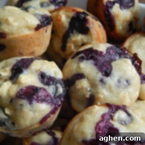 Wholesome Blueberry Oat Mini Muffins 3 A close-up of a single mini blueberry oatmeal muffin, showcasing its golden-brown top and blueberry clusters.