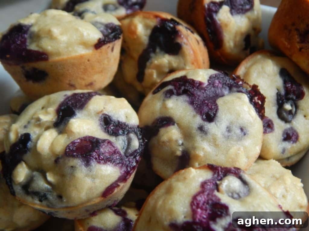Wholesome Blueberry Oat Mini Muffins 6 A serving platter displaying several golden-brown, perfectly baked mini blueberry oatmeal muffins, garnished lightly.