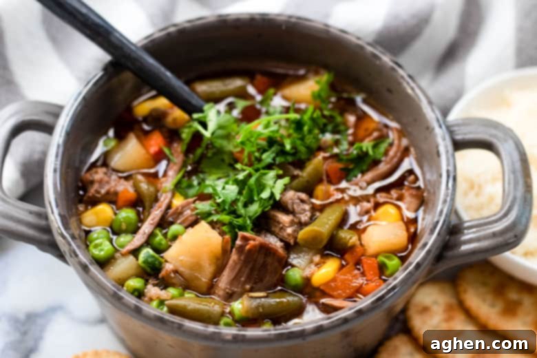 Close-up of Instant Pot Vegetable Beef Soup in a serving bowl, highlighting the colorful vegetables and lean beef