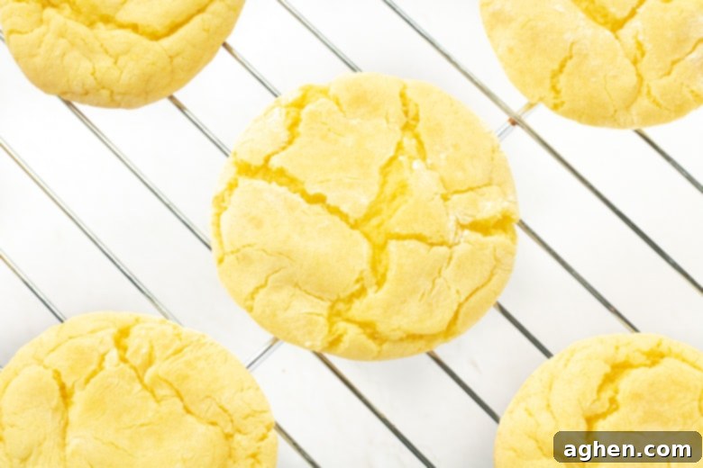 Old photo: Easy Lemon Cookies with powdered sugar, cooling on a wire rack for a perfect finish.