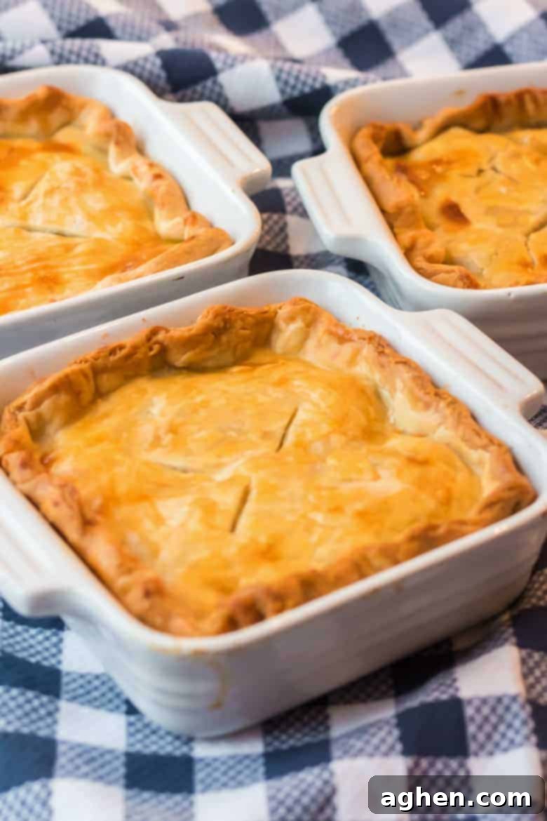 Delicious individual chicken pot pie recipe, golden brown and bubbly