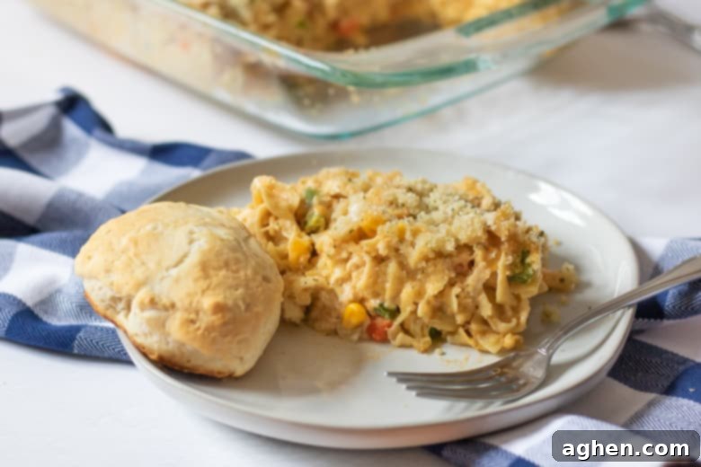 Chicken Noodle Casserole Recipe - A creamy chicken noodle casserole topped with crispy panko breadcrumbs.