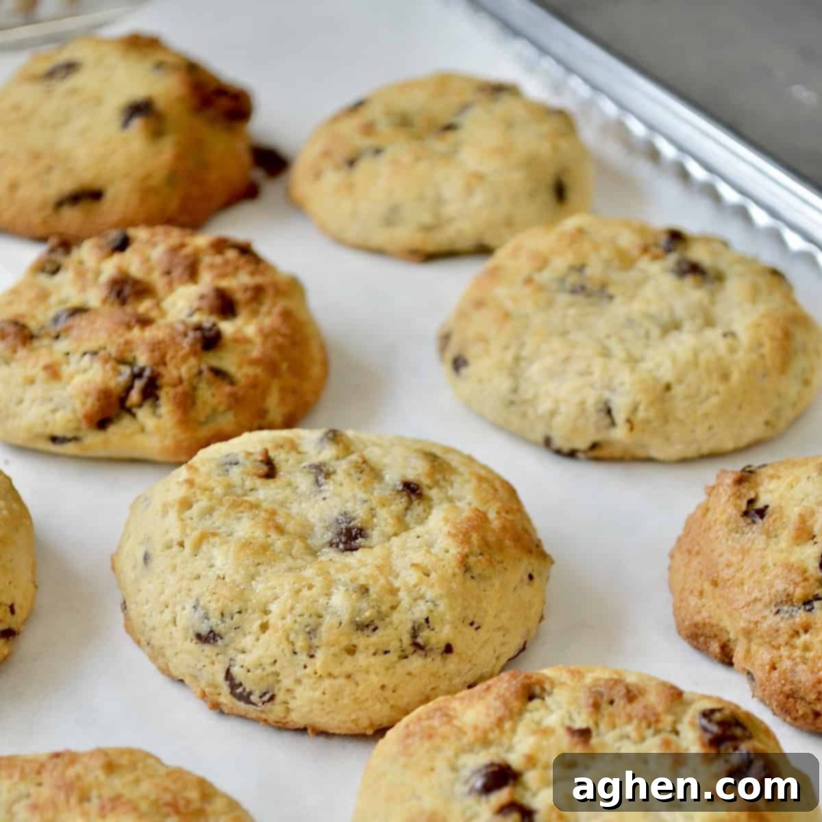 Freshly baked golden brown chocolate chip cookies cooling on a wire rack, glistening with melted chocolate.