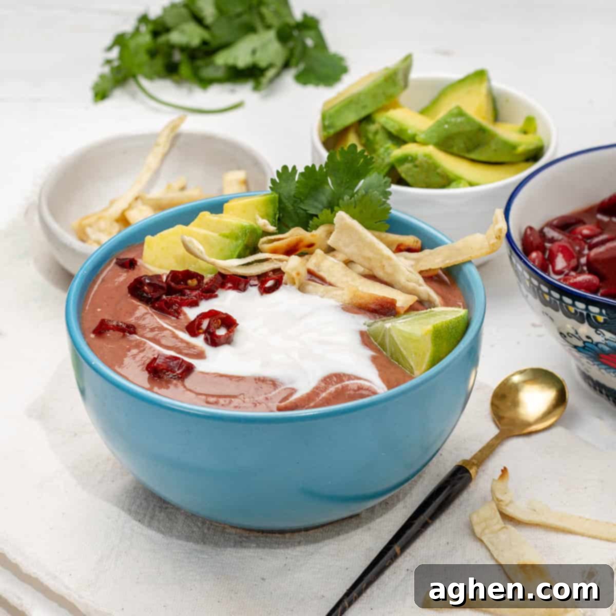 Blended pinto bean Tarasca Soup in a bowl, topped with yogurt, tortilla strips, and cilantro.