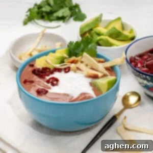 Blended pinto bean Tarasca Soup in a bowl, topped with yogurt, tortilla strips, and cilantro.