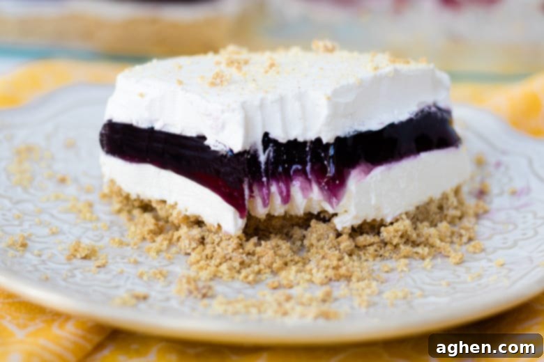 Blueberry Delight: A close-up view of the cool and creamy no-bake dessert with its distinct layers of cheesecake, blueberry filling, and whipped topping.