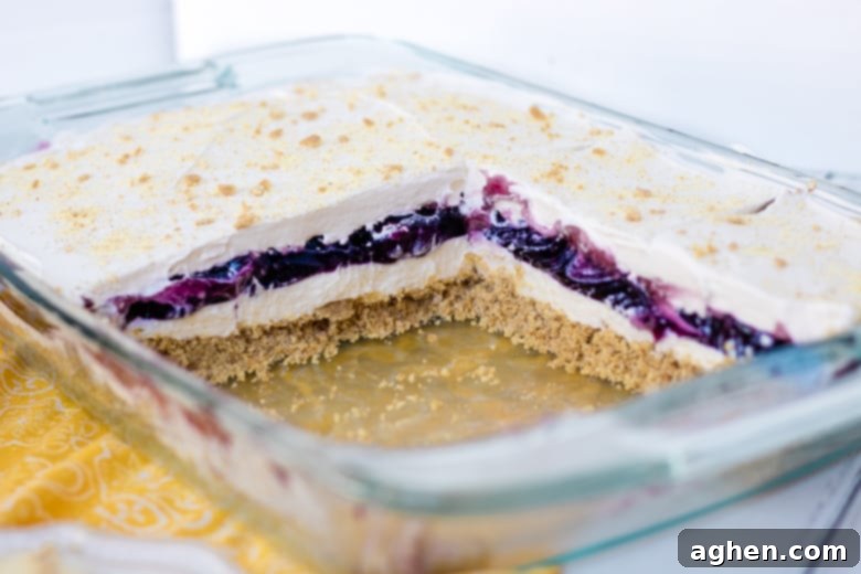 No-Bake Blueberry Delight Recipe: A simple and delicious layered dessert featuring a crispy crust, creamy filling, and fruity topping, showcased beautifully in a baking dish.