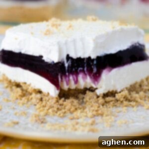 Blueberry Delight - Square image of the dessert ready to be served