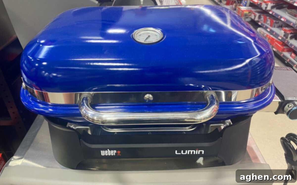 Close-up of food grilling on the Weber Lumin Electric Grill