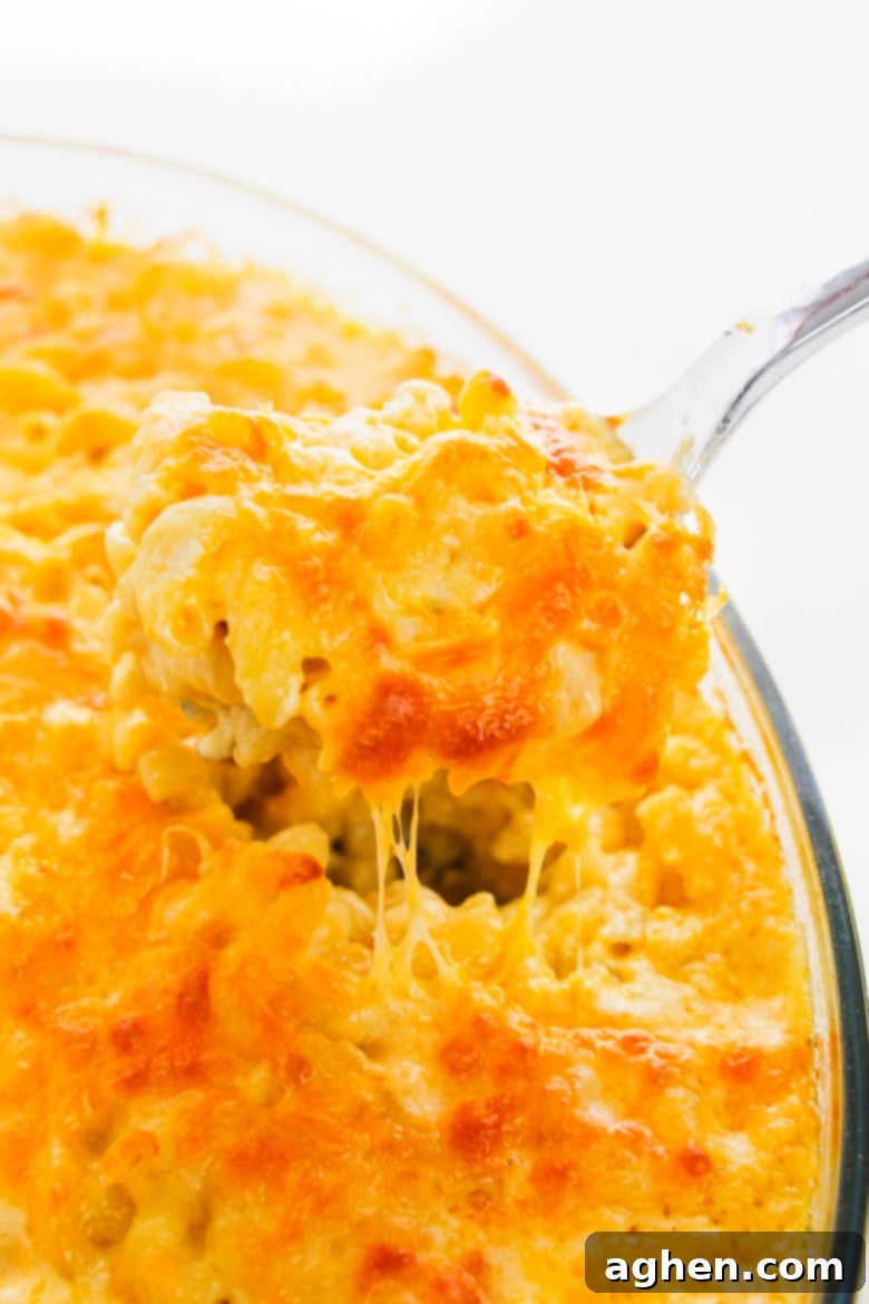 Spoonful of cheesy baked macaroni and cheese coming out of baking dish