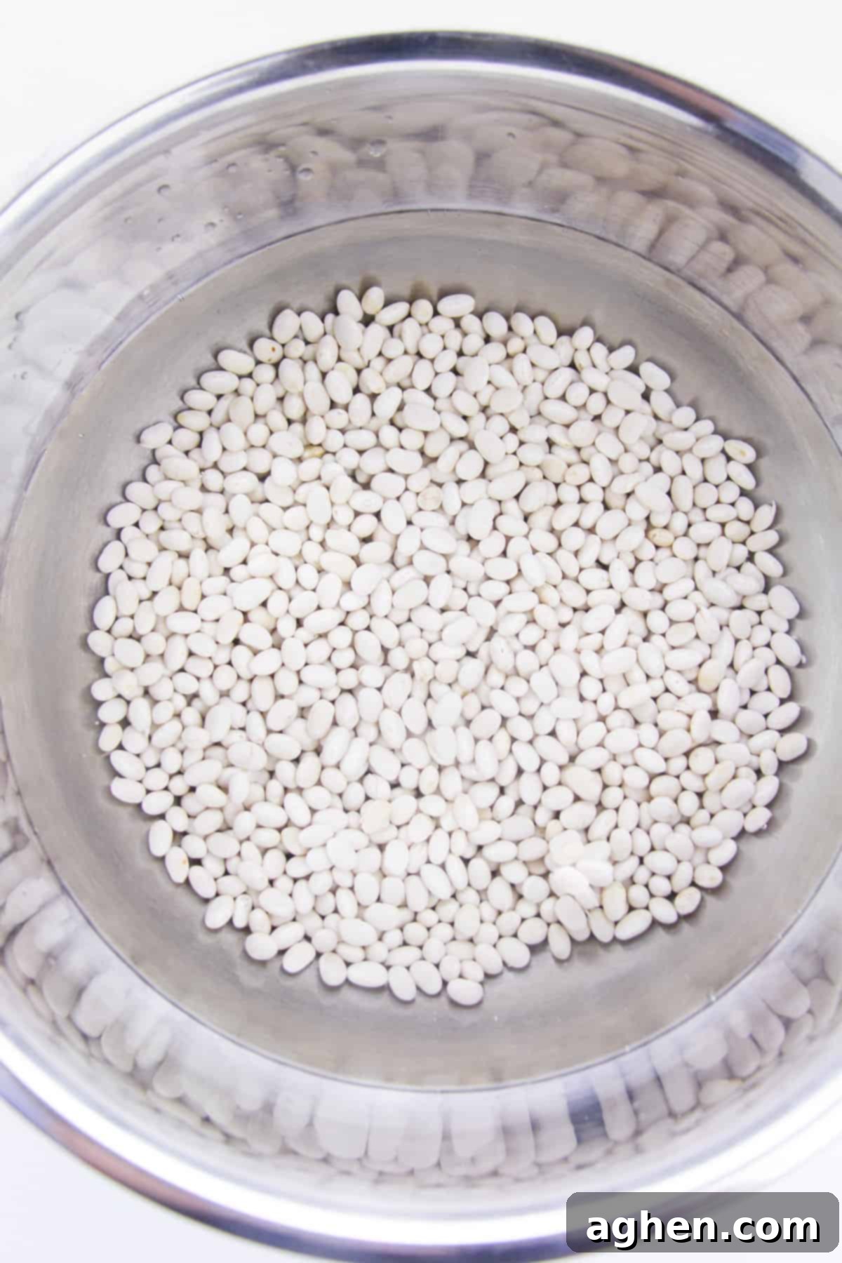 Dry white navy beans in stainless steel pot.