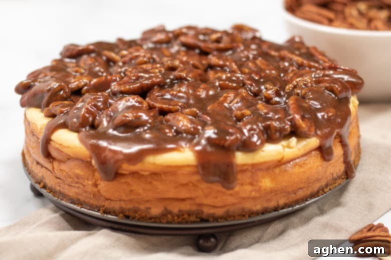 A freshly baked homemade Pecan Pie Cheesecake cooling on a wire rack, ready for its topping.