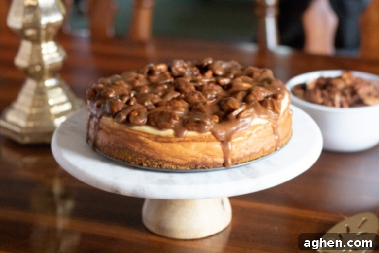 Pecan Pie Cheesecake with a rich, glossy pecan topping being spooned over the creamy cheesecake layer.