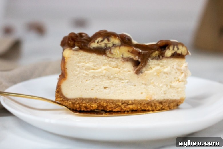 A perfectly sliced piece of Pecan Pie Cheesecake, showing the distinct layers of crust, creamy filling, and pecan topping.