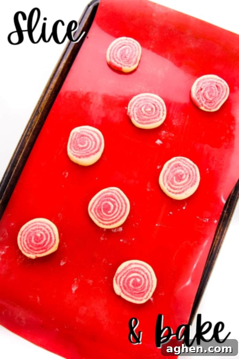 Slice and bake cookies - Peppermint pinwheel cookie dough log being sliced before baking.