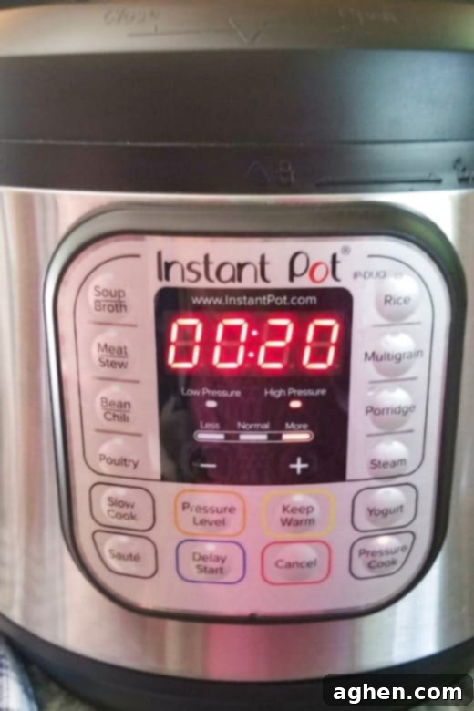 Instant Pot set to 20 minutes 