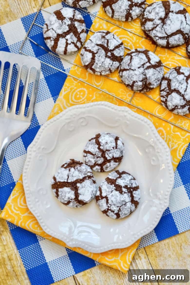 Brownie Mix Crinkle Cookies, a delicious 5-ingredient dessert made with boxed brownie mix, perfect for quick treats.