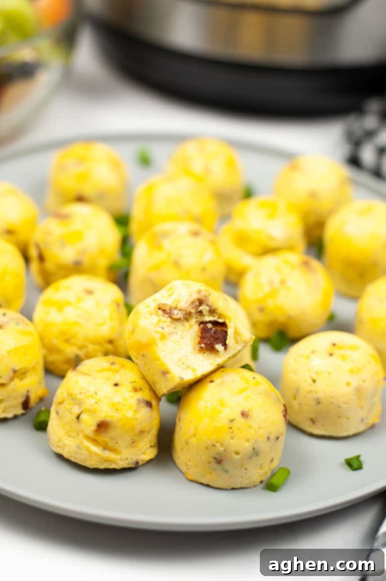 Savory bacon and cheese egg bites cooked to perfection in an Instant Pot, ready for a quick breakfast
