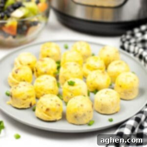 Creamy Instant Pot Egg Bites 10 Starbucks Egg Bites Recipe