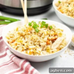 Instant Pot Chicken Fried Rice Recipe