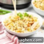 Instant Pot Chicken Fried Rice Recipe