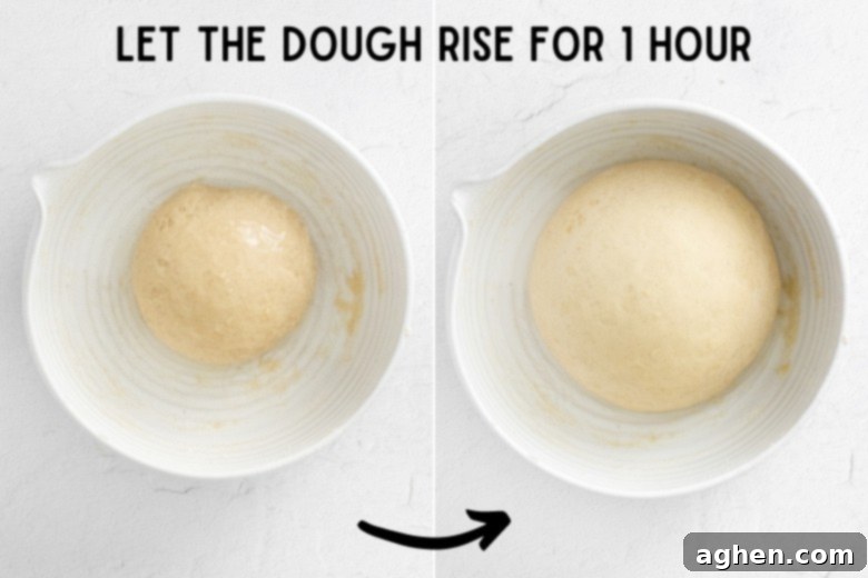 let the dough rise for 1 hour