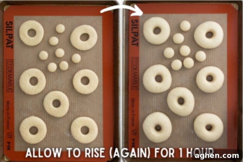 allow to rise (again) for 1 hour