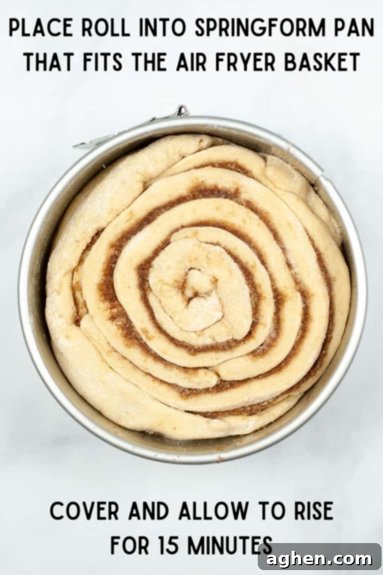 Giant cinnamon roll in springform pan, ready for air frying