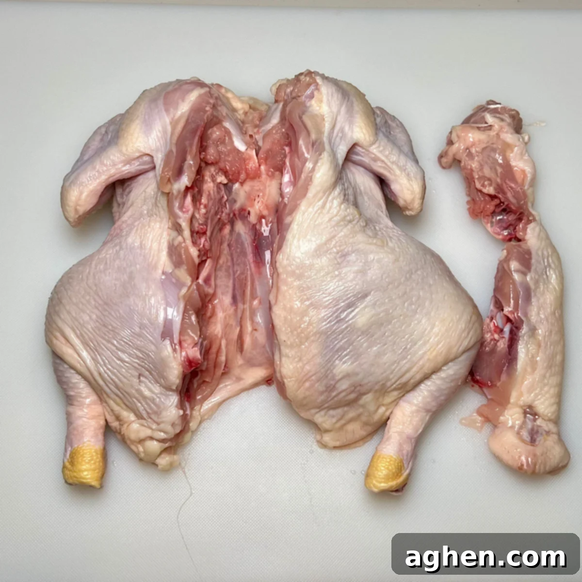 A whole chicken with the backbone completely removed, ready for the next step of flattening.