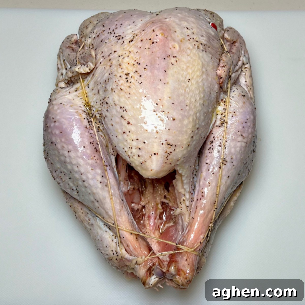 trussed turkey ready for smoking