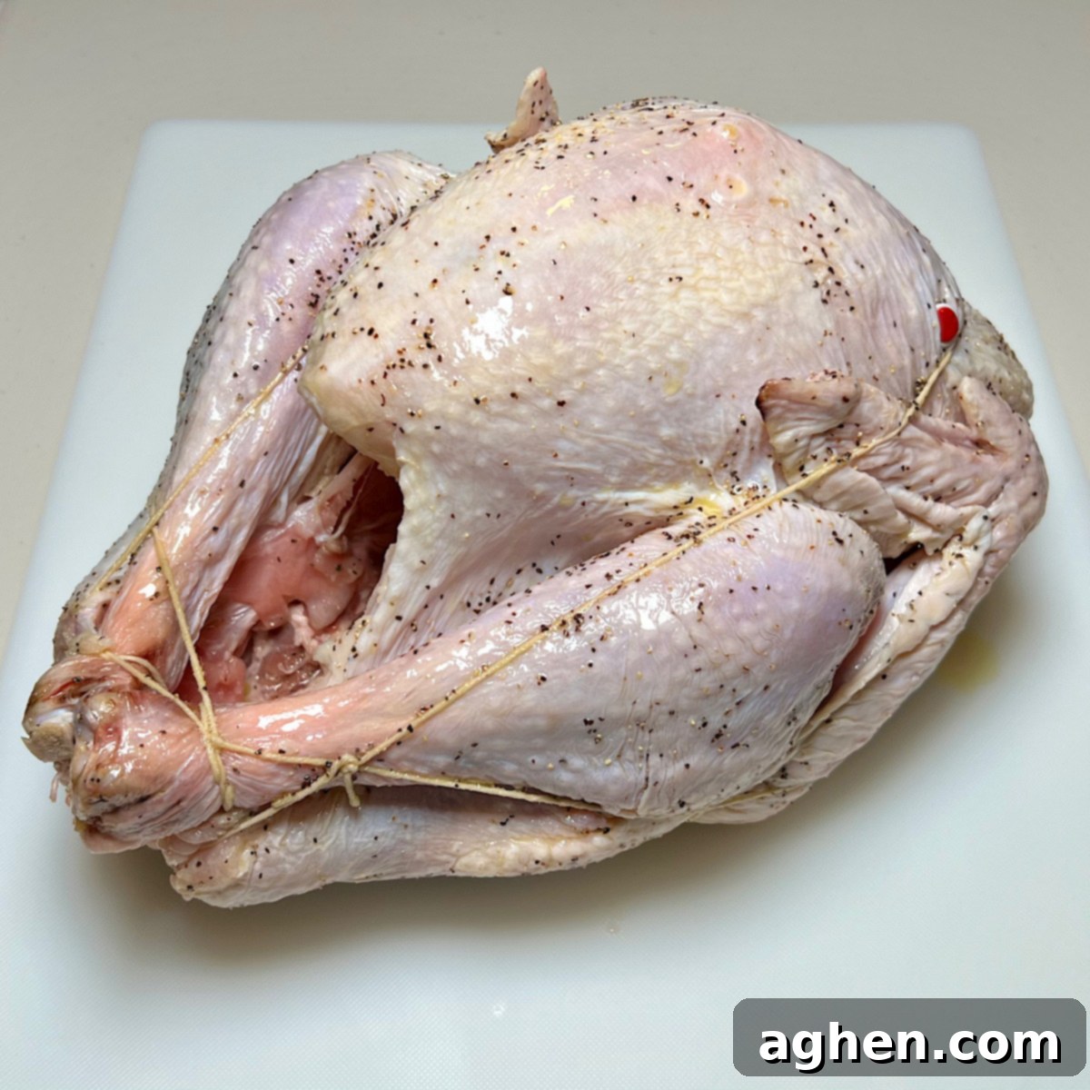 trussed turkey ready for smoking