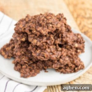 Chocolate peanut butter no bake cookies with oatmeal on a plate.