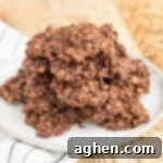 Chocolate peanut butter no bake cookies with oatmeal on a plate.