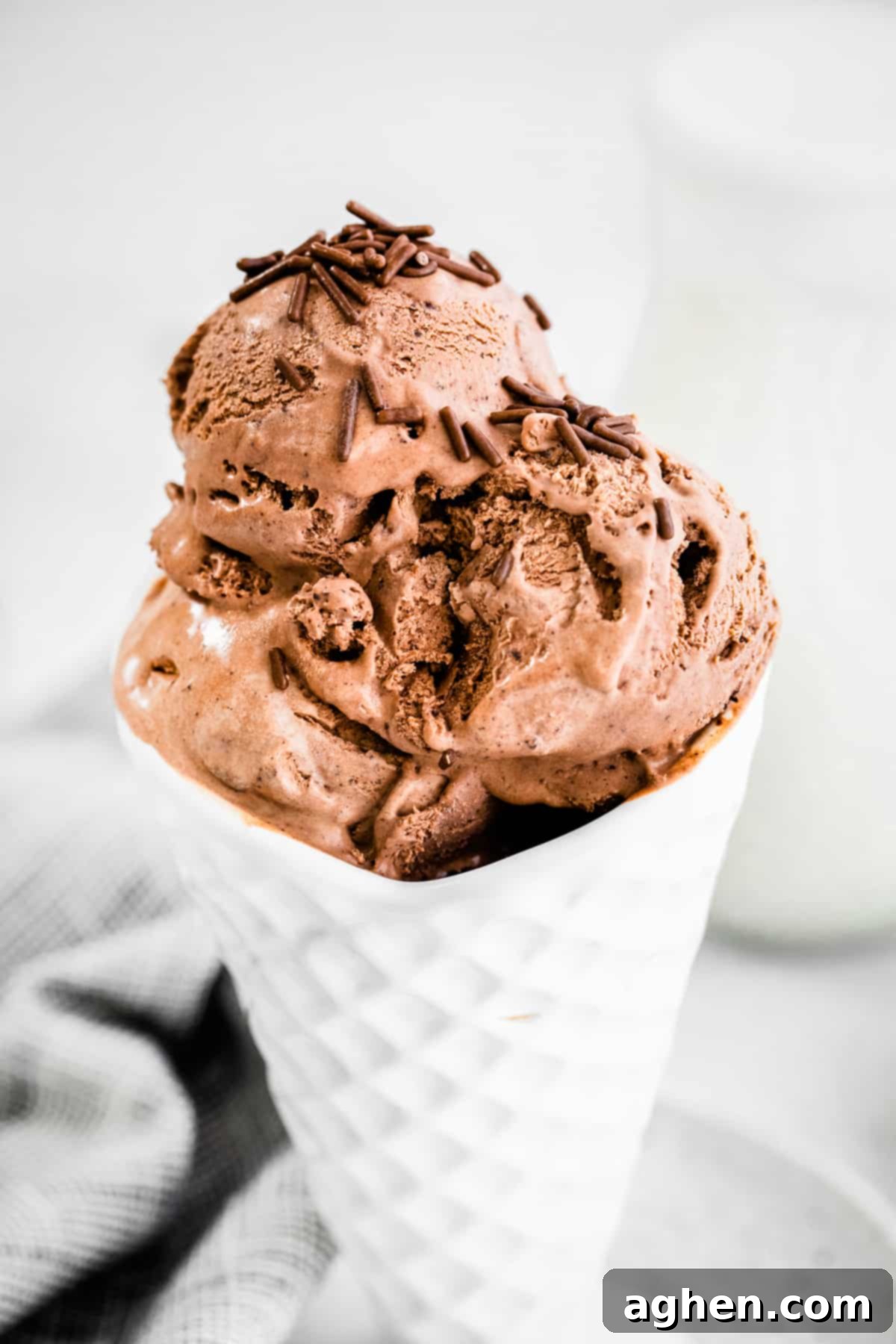 Homemade chocolate ice cream with chocolate sprinkles in white cone bowl