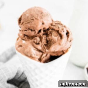 Chocolate ice cream scooped into a white waffle-cone shaped bowl