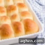Potato rolls in baking dish