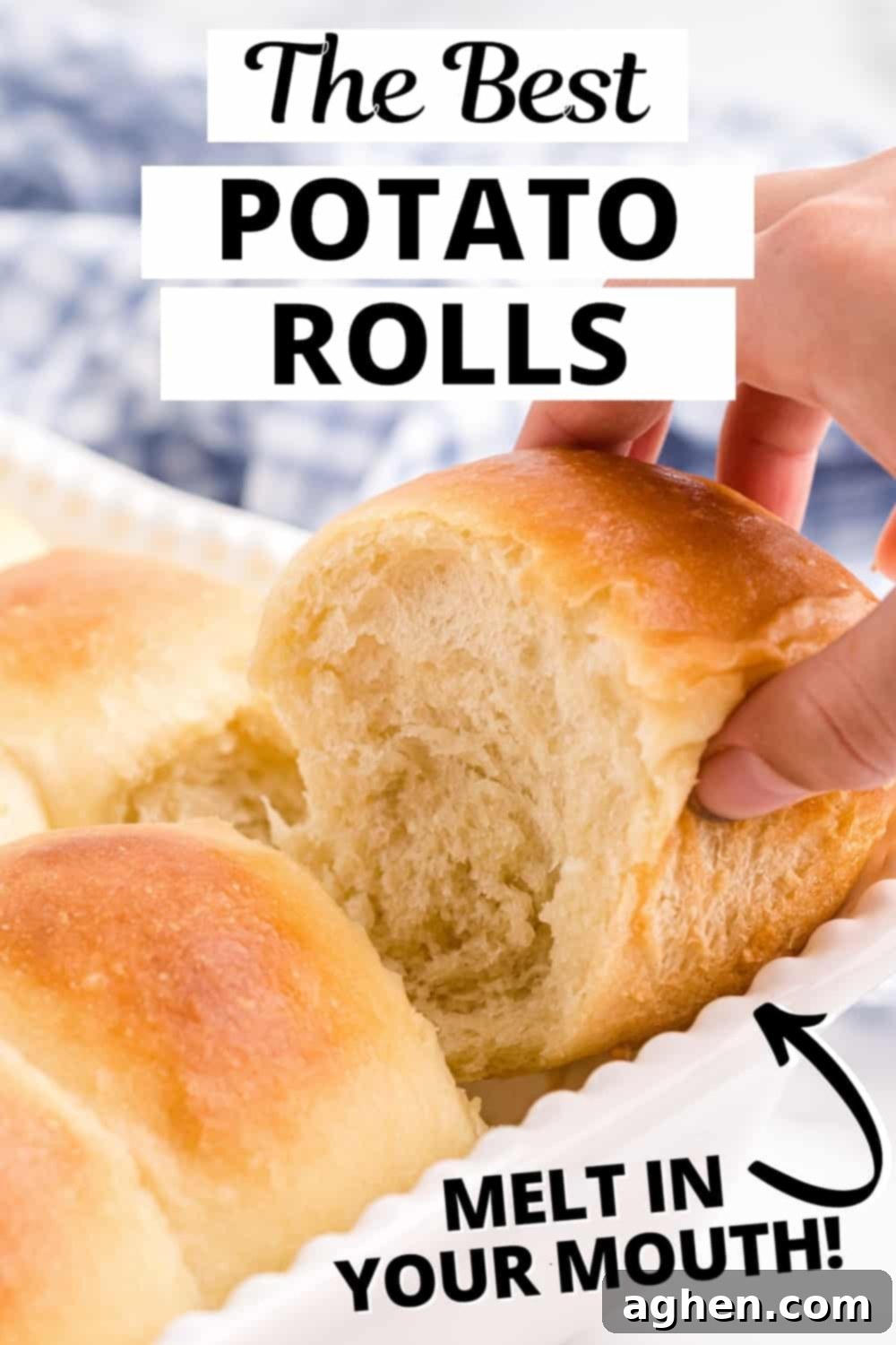 The Best Potato Rolls - they will melt in your mouth!