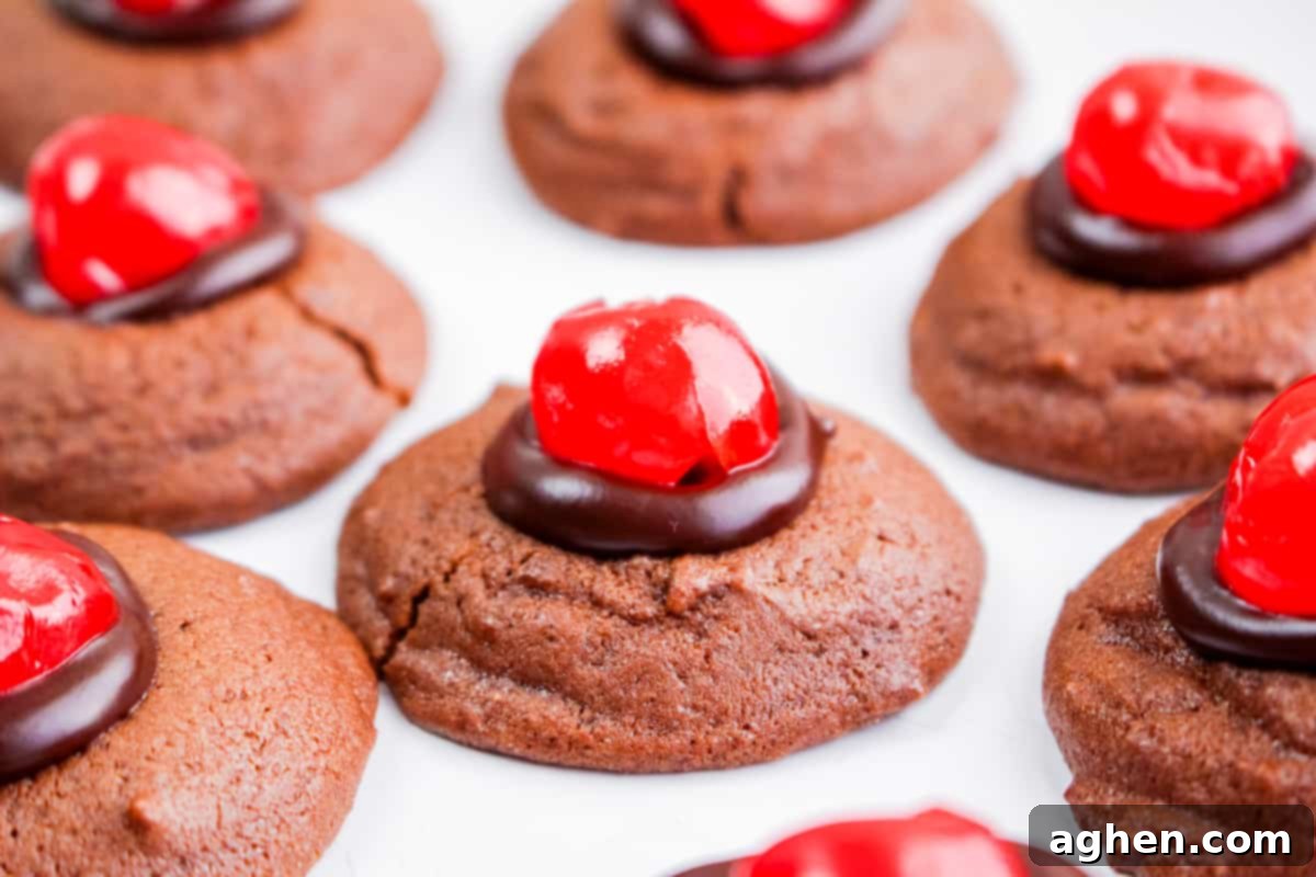 chocolate cookie with melted chocolate and maraschino cherry on top