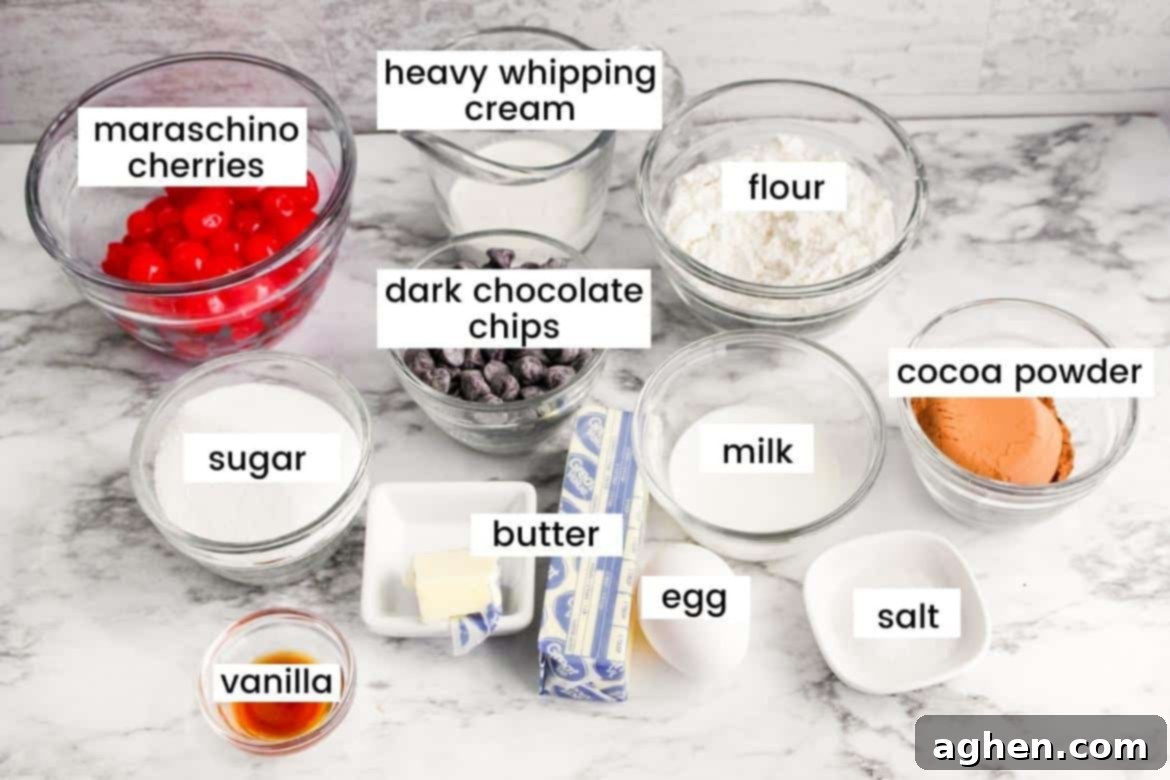 Ingredients in glass bowls on countertop: maraschino cherries, heavy whipping cream, flour, cocoa powder, milk, salt, egg, butter, vanilla. sugar. dark chocolate chips, milk, sugar and egg