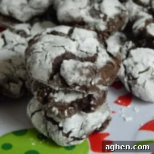 Velvet Crinkle Fudge Bites 2 Chocolate Fudge Crinkle Cookies