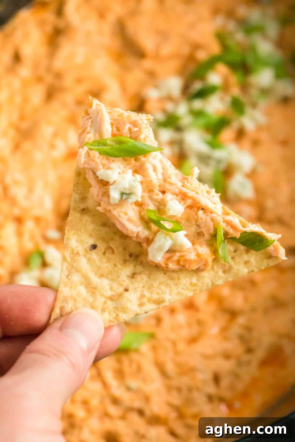 Tortilla chip dipped in buffalo chicken dip with cream cheese.